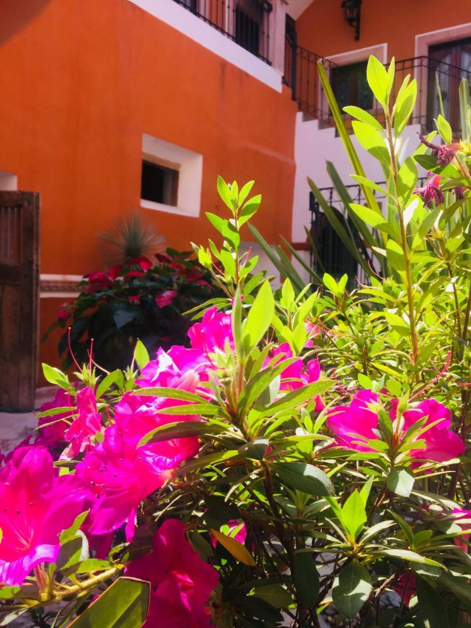 Casa Pozo Del Rayo Hotel Boutique Dolores Hidalgo Esterno foto